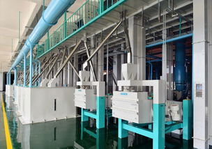 東方集團現代農業板塊加速新米生產，東方糧倉方正園區全力沖刺旺季